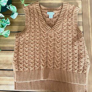 Cupcakes and Cashmere Cable Knit Sweater Vest (Rust)